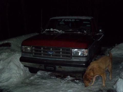 1989 Ford F-150 - A red and gray Ford F-150 truck is parked in the snow at night, with a dog nearby.