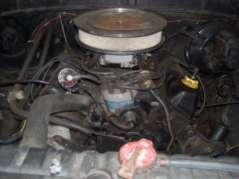1979 Ford Bronco - Close-up view of a vehicle's engine bay, showing various components and a radiator cap.