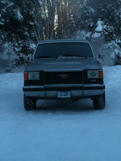 1989 Ford Bronco photo