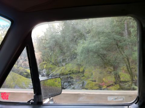 1989 Ford Bronco - View from inside a vehicle traveling through a natural landscape with moss-covered rocks and trees visible through the window.