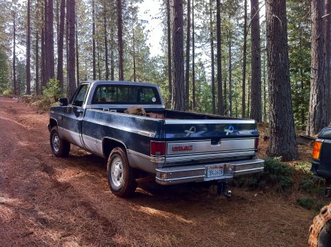 1989 Ford Bronco - GMC pickup truck parked on a dirt road in a forest with pine trees.