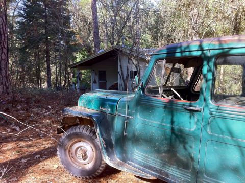 1989 Ford Bronco - A weathered green jeep sits abandoned in a wooded area next to a small, rustic cabin.