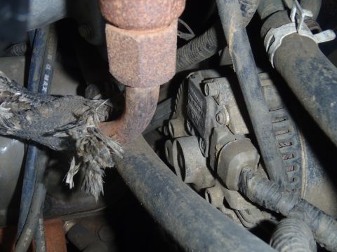 1993 Ford Bronco - Plug on the back of my original alternator