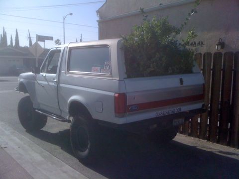 1968 Ford Mustang - This lifted Ford Bronco is carrying a load of greenery in its bed, with a '66' sticker on the rear window.