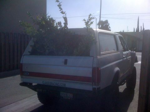 1968 Ford Mustang - A white Ford Bronco is parked, carrying plants in its cargo area. A sticker on the tailgate reads CLASS3RACING.COM.