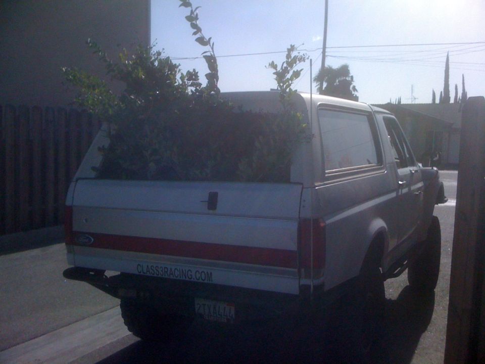 White Ford Bronco with plants in the bed, rear view, with a CLASS3RACING.COM sticker