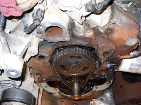 1993 Ford C-150 (Centurion Conversions) - Close-up view of an engine's timing chain and gears, likely during maintenance or repair.