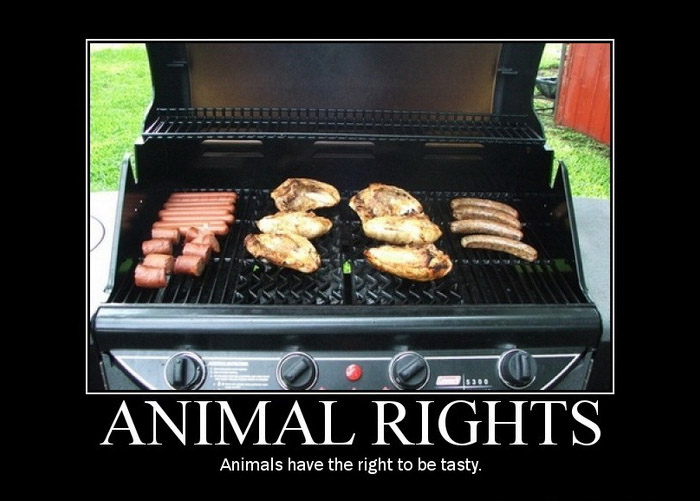 Barbecue grill cooking hot dogs and chicken. Text reads 'ANIMAL RIGHTS Animals have the right to be tasty.'