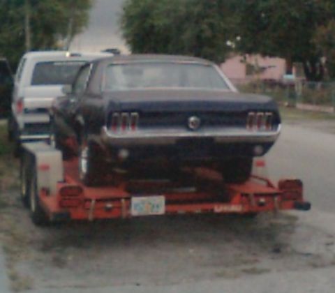 1967 Ford Mustang - Rear view of a 1967 Ford Mustang being transported on a trailer.