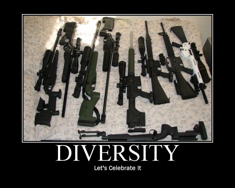 Collection of rifles and shotguns laid out on a patterned surface
