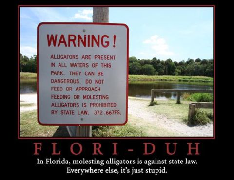 1988 Ford Bronco - A sign warns of alligators in the water, accompanied by a humorous caption about Florida laws.