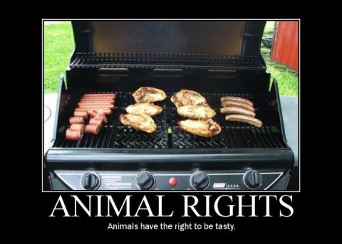1988 Ford Bronco - A barbecue grill is shown cooking hot dogs and chicken with text overlay about animal rights.