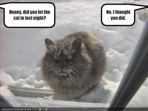 1988 Ford Bronco - A cat sits in the snow, looking through a window at two people discussing whether they let it in.