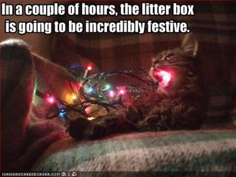 1988 Ford Bronco - A cat is playing with Christmas lights, with text overlay about a festive litter box.