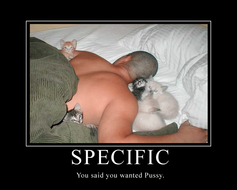 Several kittens are on a person's back and arm. Text below reads 'SPECIFIC' and 'You said you wanted Pussy.'