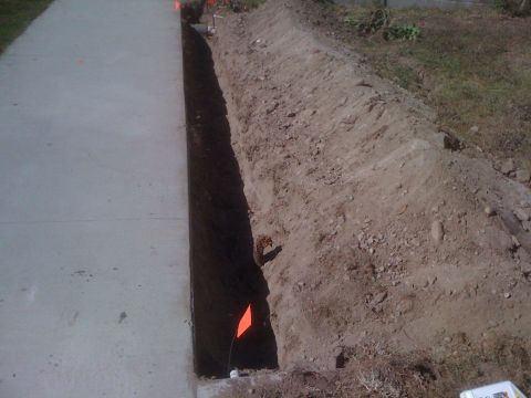 1968 Ford Mustang - A long, narrow trench has been excavated alongside a paved walkway, with orange markers indicating the site.