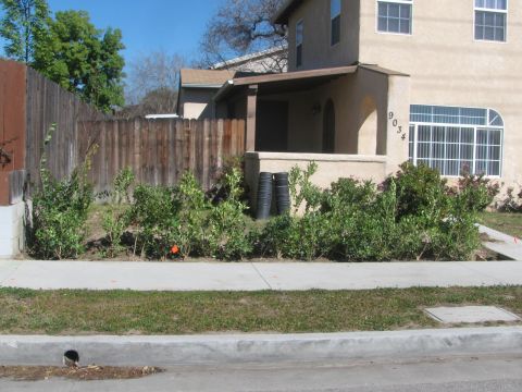 1968 Ford Mustang - A residential house with landscaping and a fence is visible on a sunny day.
