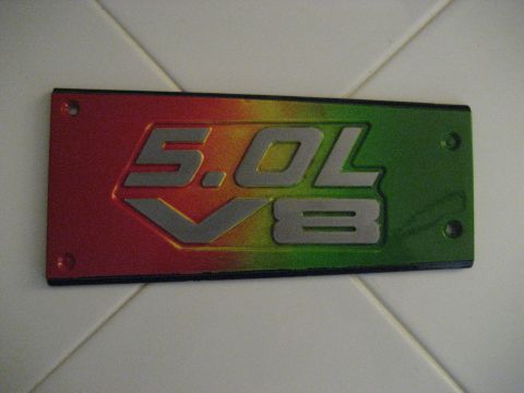 1994 Ford F-150 - This emblem indicates a 5.0 liter V8 engine, but its specific vehicle application is not identifiable from the image.