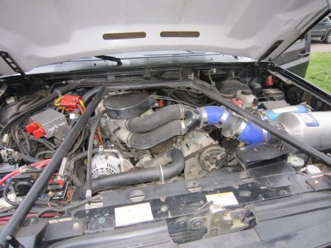 1996 Ford Bronco - The engine bay of a vehicle, a V-shaped intake manifold and blue hoses.