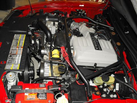 1994 Ford Bronco - The engine bay of a 1994 Ford Mustang Cobra, the 5.0 liter engine and associated components.