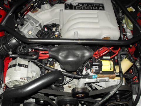 1994 Ford Bronco - The engine bay features a 5.0 Liter Cobra intake manifold and various engine components.
