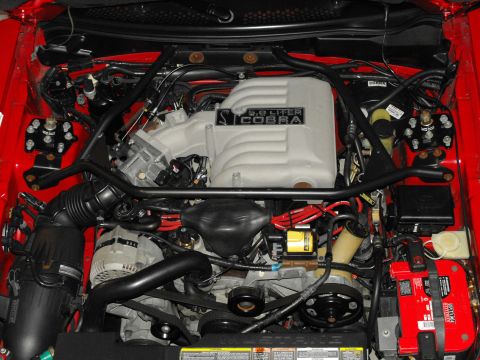 1994 Ford Bronco - Engine bay of a 1994 Ford Mustang Cobra, showing the 5.0 Liter engine and red accents.