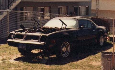 1968 Ford Mustang - This black Pontiac Firebird has its hood up, revealing the engine bay, while parked in a grassy area.