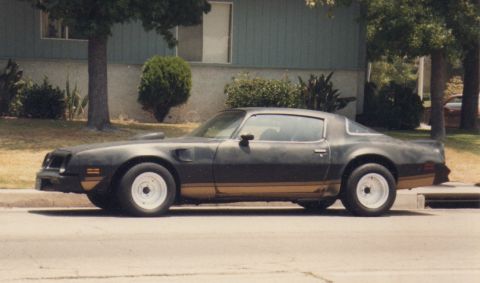 1968 Ford Mustang - This Pontiac Firebird Trans Am, likely from the late 1970s, is parked on a residential street with trees and a building in the background.