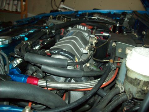 1992 Eagle Talon “Bluebird”