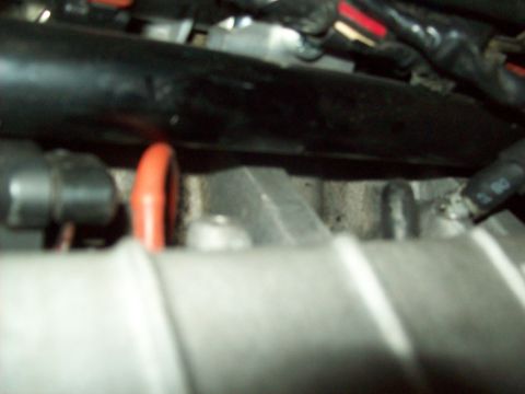 1992 Eagle Talon “Bluebird”