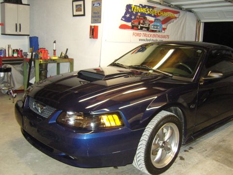 2007 Ford Mustang - A dark blue Ford Mustang with a hood scoop is parked in a garage, with a banner in the background.