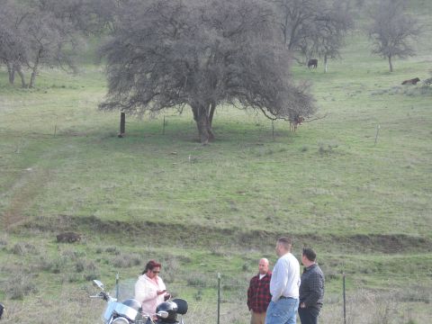 1991 Ford Bronco - People and a motorcycle in a field with cattle in the background.