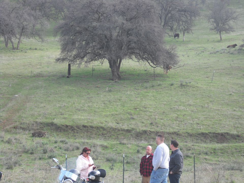 Motorcycle parked in foreground with people standing nearby in a rural landscape with cattle grazing