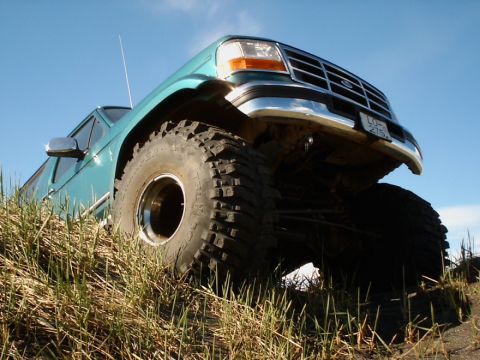 1996 Ford Bronco - This lifted pickup truck has oversized tires and is parked on a grassy incline under a clear blue sky.