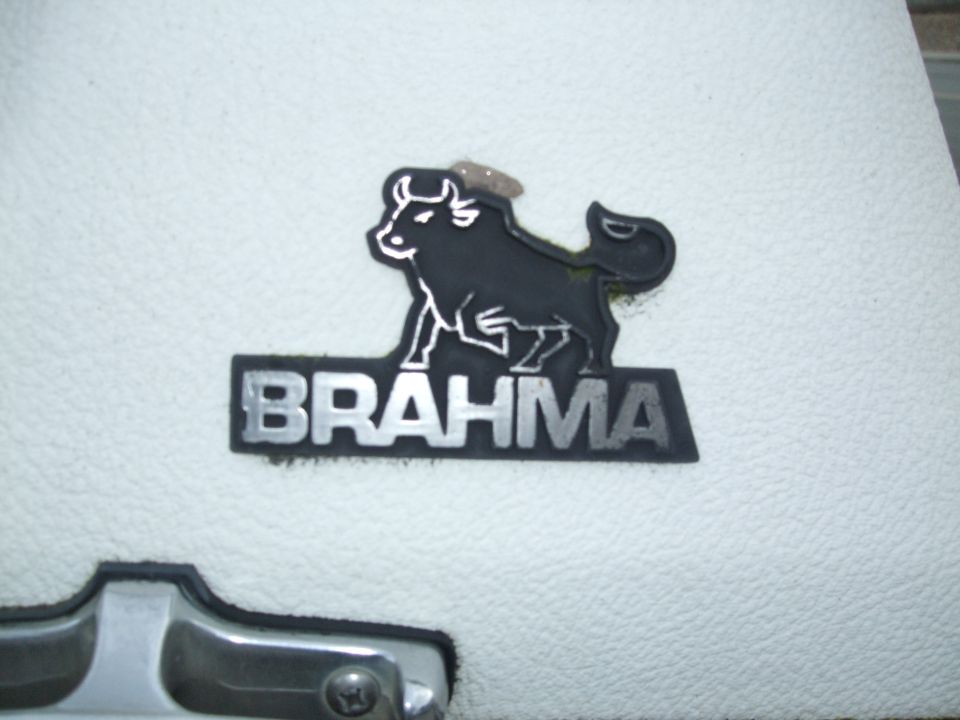 Brahma bull emblem on white textured surface