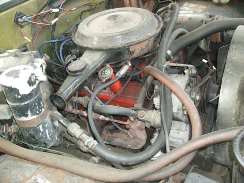 1979 Ford Bronco - Close-up view of a V8 engine bay, including air cleaner, alternator, and hoses.