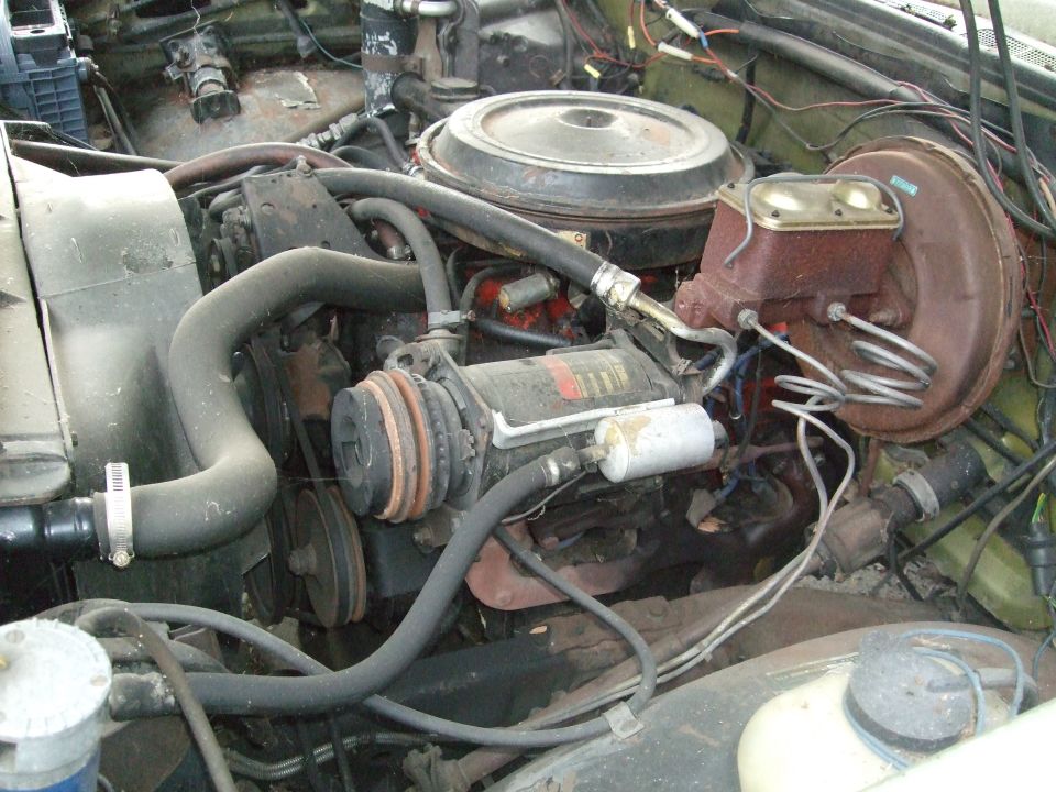 Engine bay with hoses, belts, and engine components visible