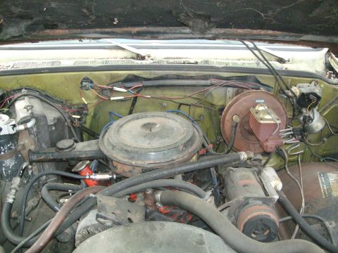 1979 Ford Bronco photo