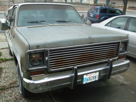 1979 Ford Bronco photo