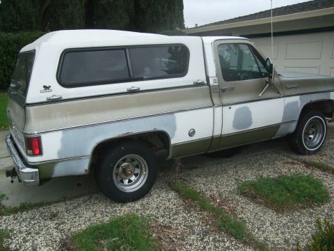1979 Ford Bronco photo