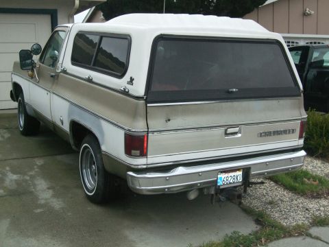 1979 Ford Bronco photo