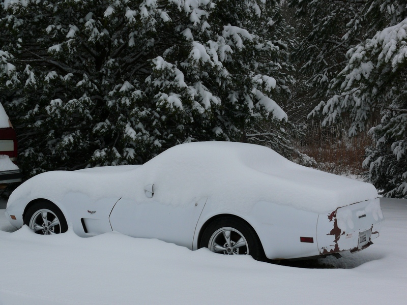 Side view of a white 1976 Chevrolet Corvette covered in snow