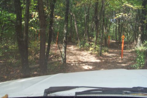 1989 Ford Bronco - View from inside a vehicle looking out at a wooded trail with orange markers.