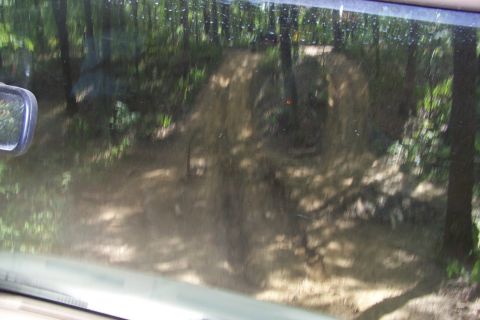 1989 Ford Bronco - View of an off-road trail winding through a wooded area, as seen from the interior of a vehicle.