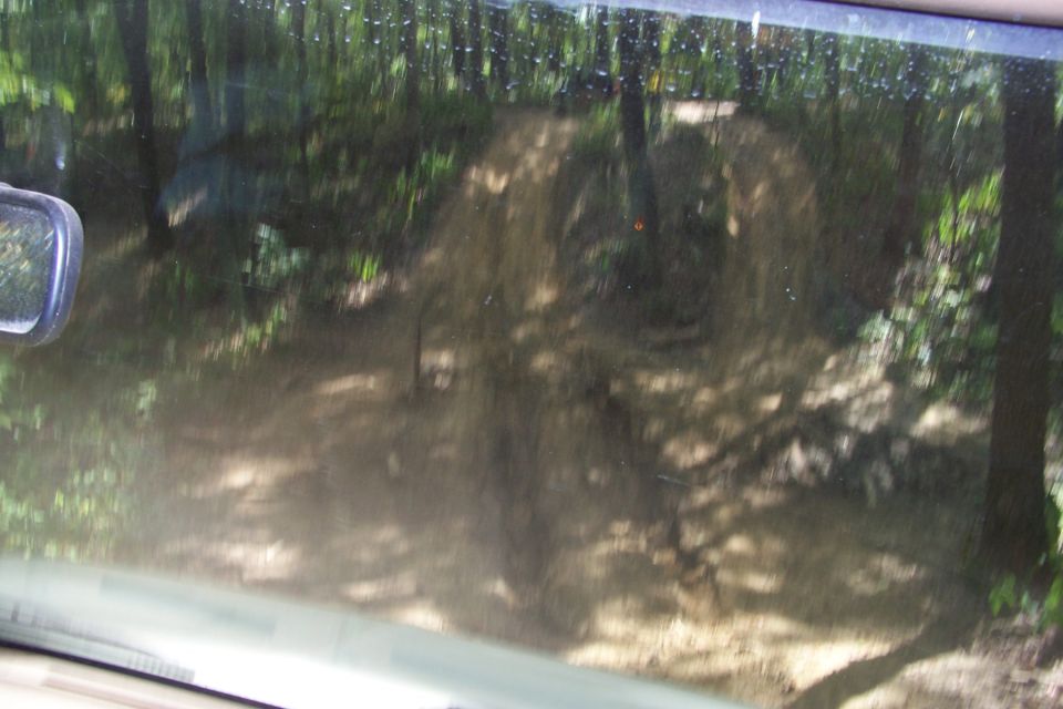 Off-road trail through woods seen from inside a vehicle