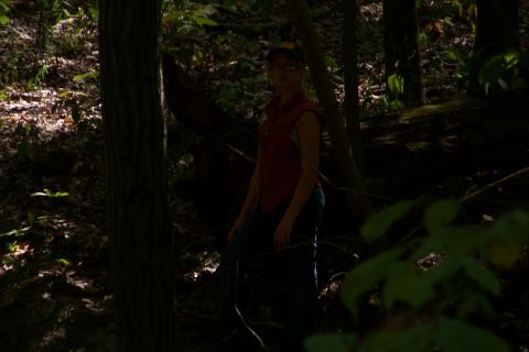 1989 Ford Bronco - A person stands in a dimly lit forest with trees and foliage surrounding them.