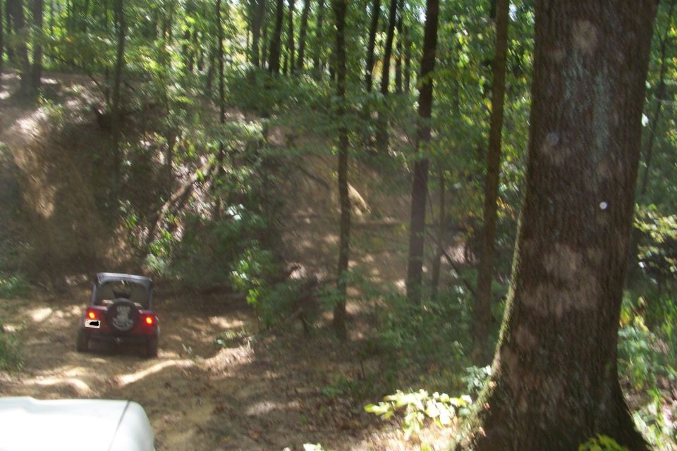 Dark red soft-top 4x4 with spare tire on a rutted dirt trail in the woods
