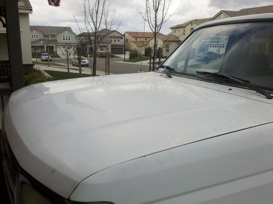 White Ford SUV hood viewed from the driver's side in a suburban driveway