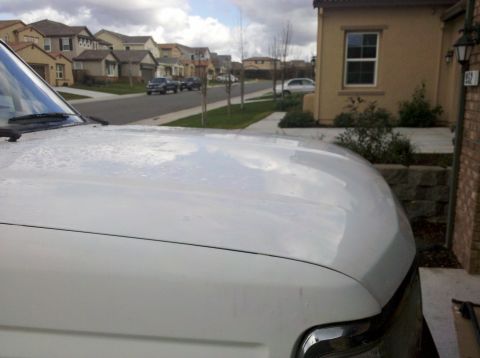 1995 Ford Bronco - Close-up of a white SUV's hood and windshield, with a suburban neighborhood visible in the background.