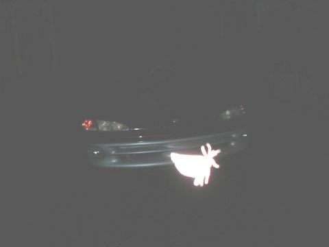 1995 Dodge Intrepid “Negative Energy”